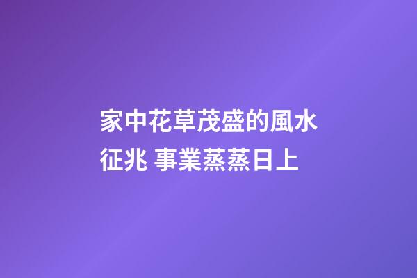 家中花草茂盛的風水征兆 事業蒸蒸日上